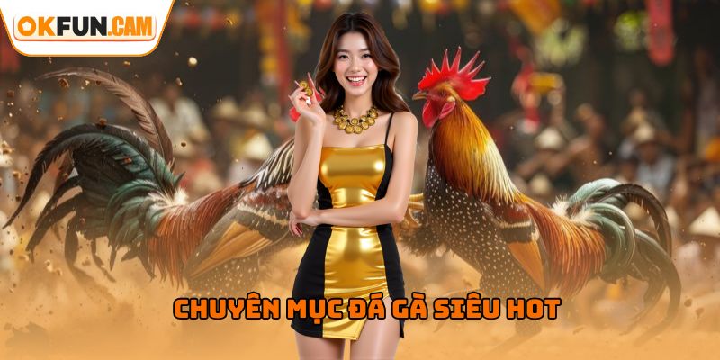 Chuyên mục đá gà OKFUN bùng cháy các trận chiến kê đỉnh cao