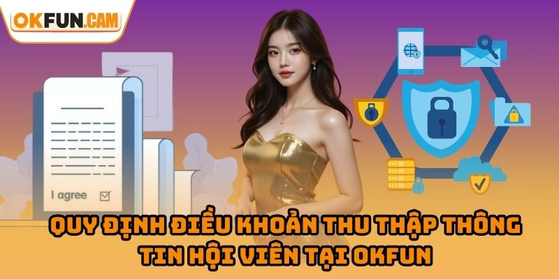 Chính sách bảo mật OKFUN quy định điều khoản thu thập thông tin hội viên tại OKFUN