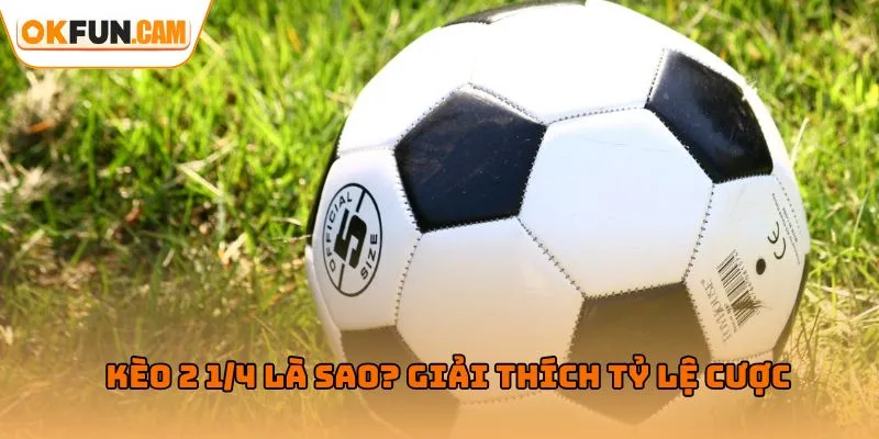 Kèo 2 1/4 là sao? Giải thích tỷ lệ cược
